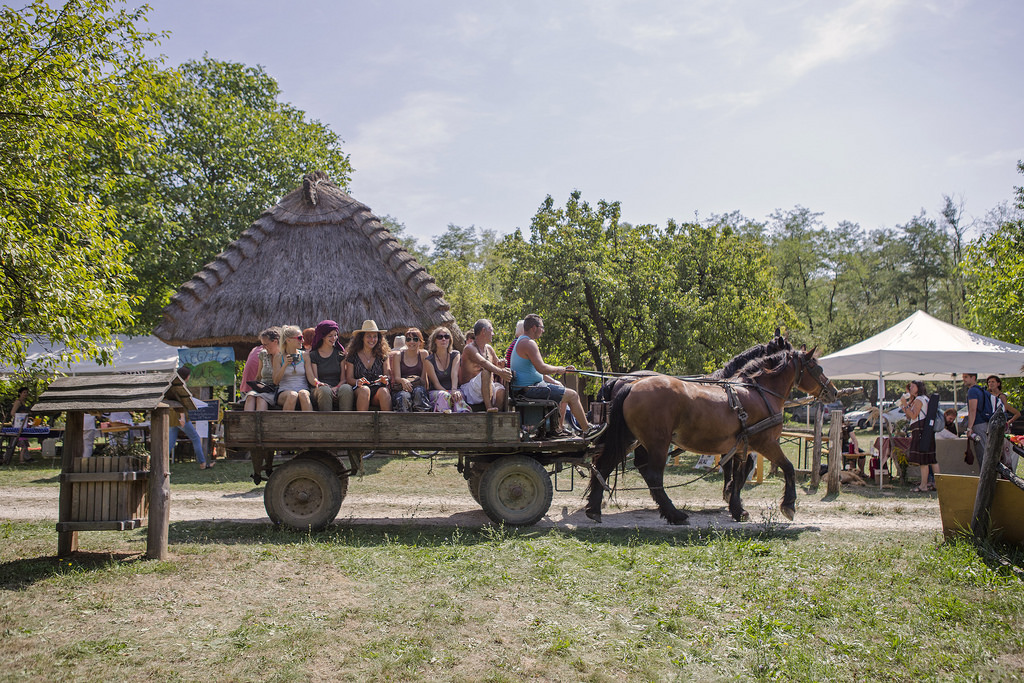 ‘Countryside Newcomers Festival’, Zebegény, 23 – 26 August