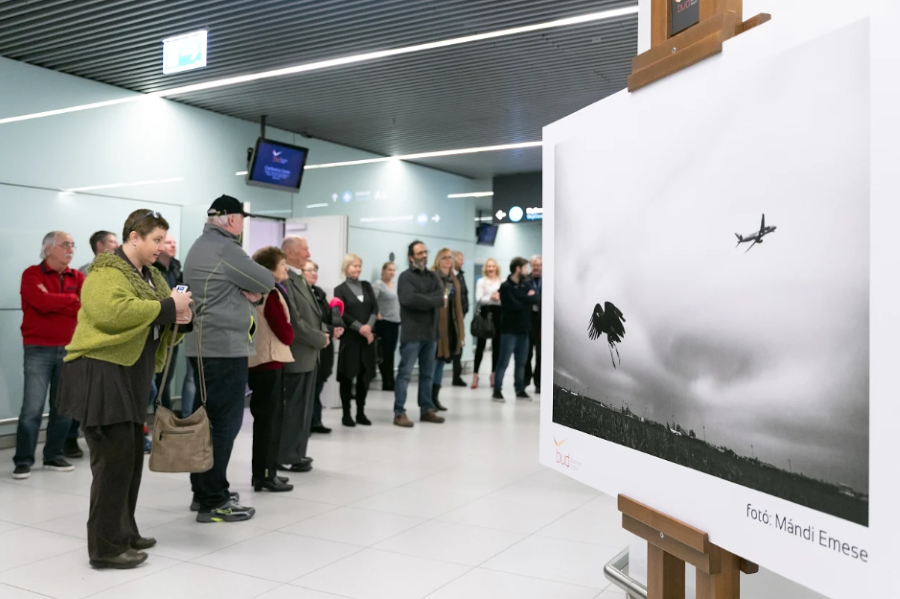 Mándi Emese Photo Exhibition, Budapest Airport