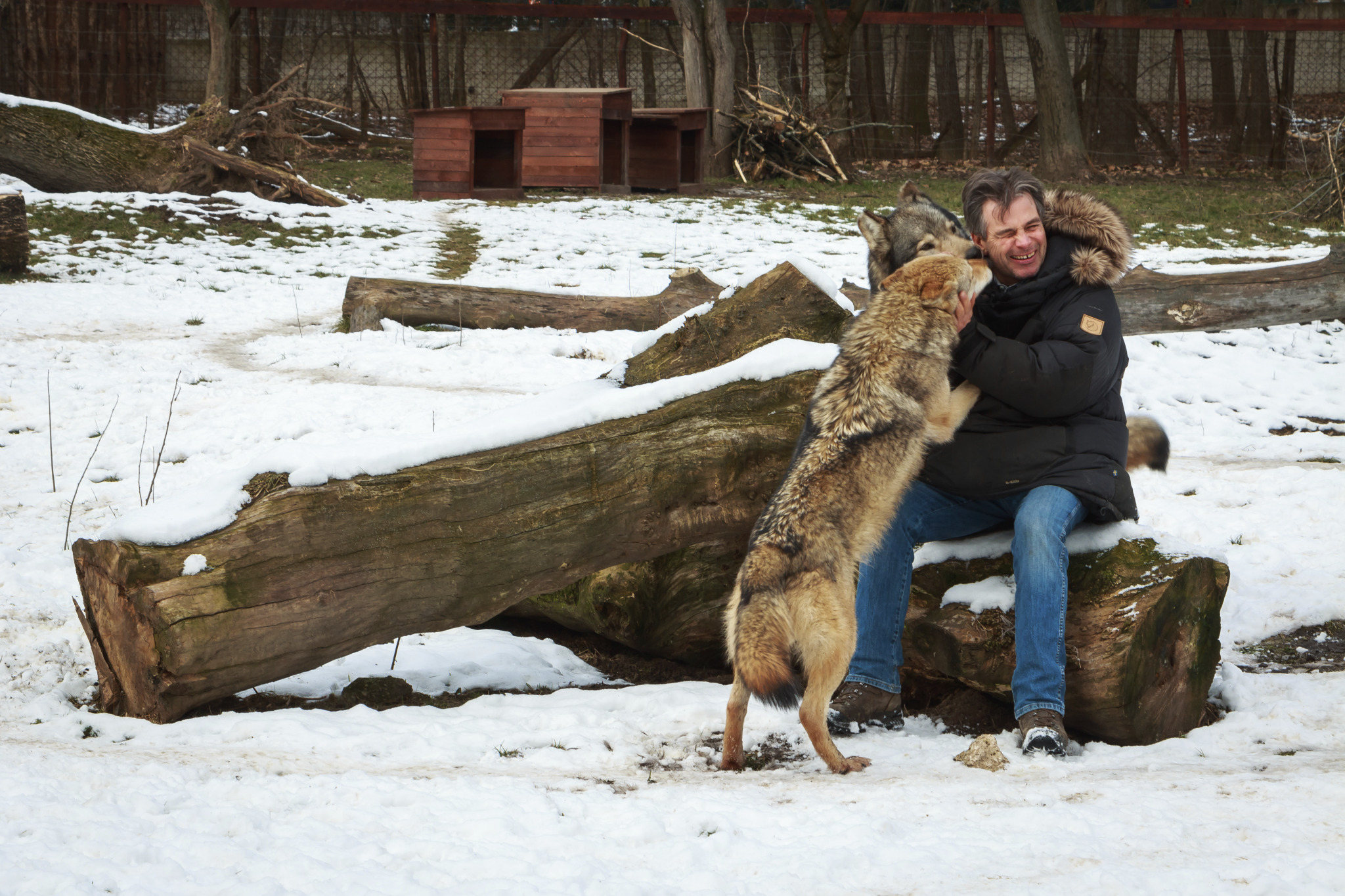 Video: Hungarian Animal Trainer  Works With Hollywood's Stars