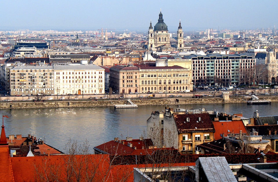Rat Population Rising In Budapest