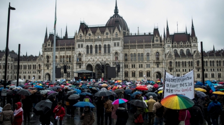 Big Teacher's Protest In Budapest