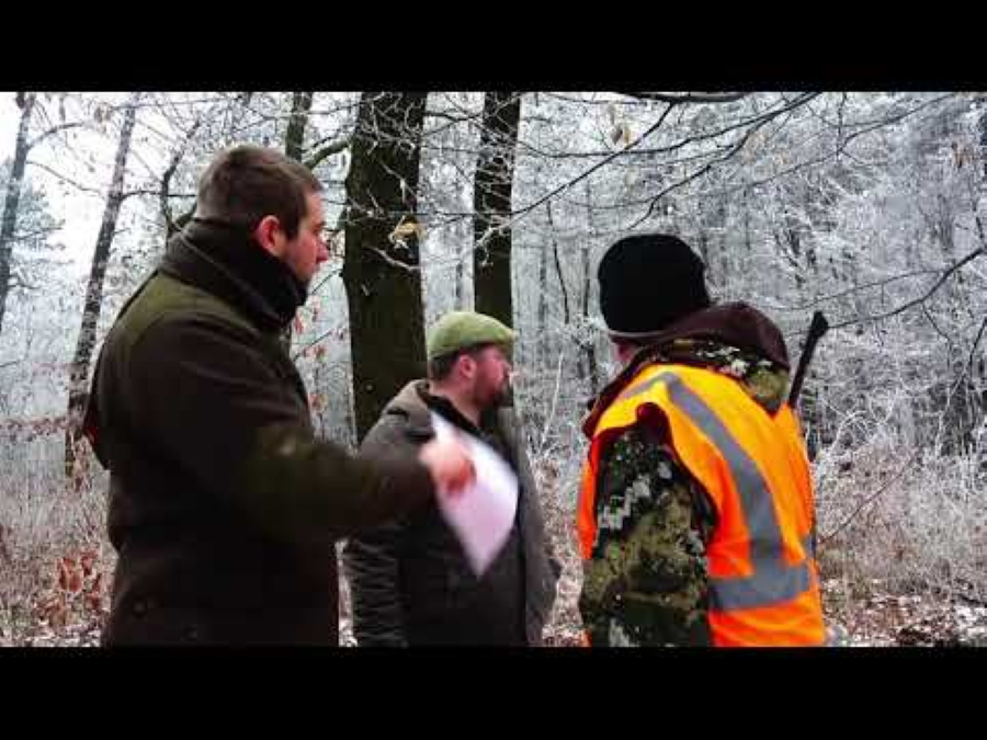 Video: Wild Boar Hunting In Hungary