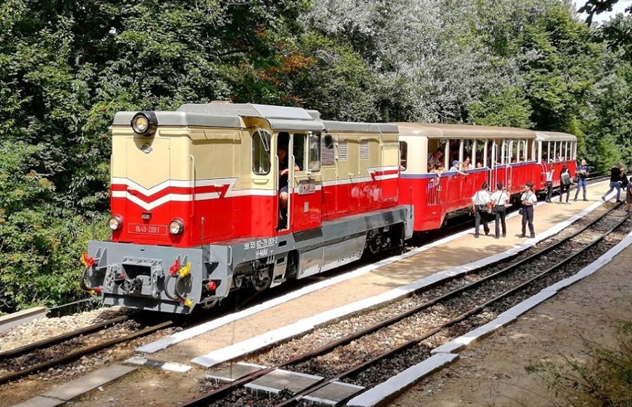 Insider’s Guide: Charming Narrow-Gauge Forest Railways in Hungary