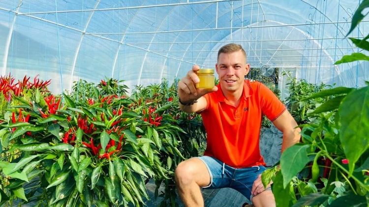 Spicy Hungarian Peppers Win Top International Medals