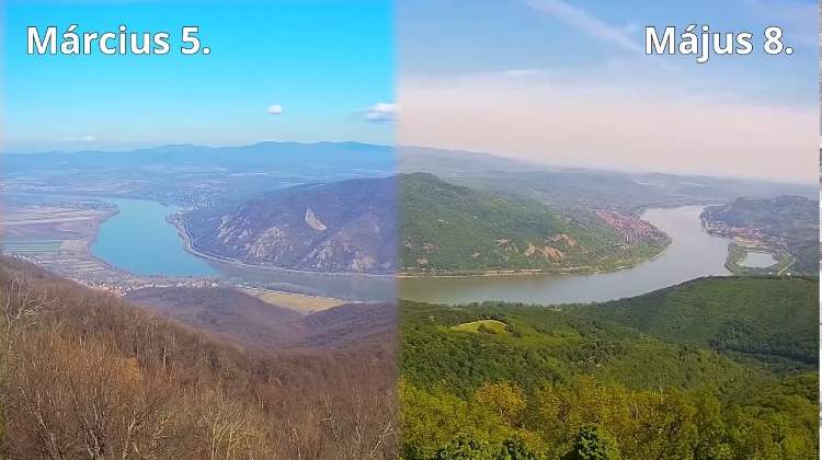 Video: How Danube Bend Recently Turned Green In Hungary