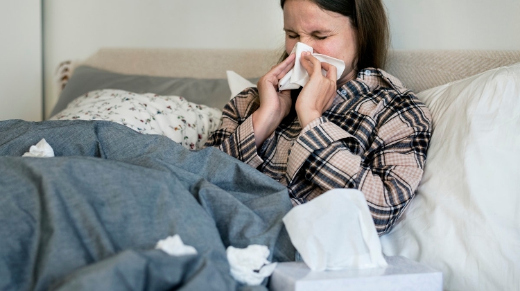Epidemic of Influenza-Type Illnesses Hits Hungary