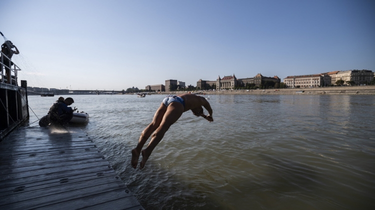 Video: Swimming In Budapest's Fast-Flowing Danube