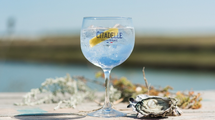 WhiskyNet Insight: Gin & Tonic Season with Premium French Gin, Citadelle