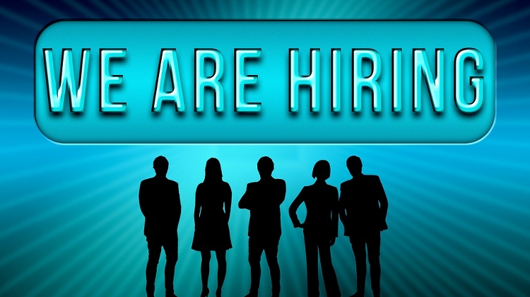 Job Opportunity: Management Assistant @ XpatLoop.com