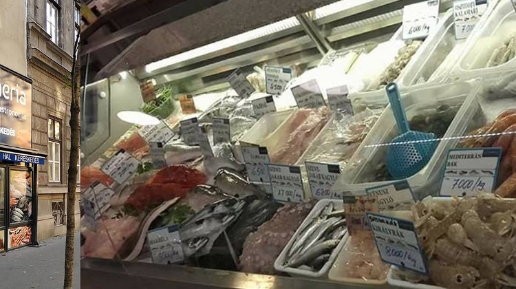Catch Fresh Fish & Seafood Delights From La Pescheria Fishmongers In Budapest