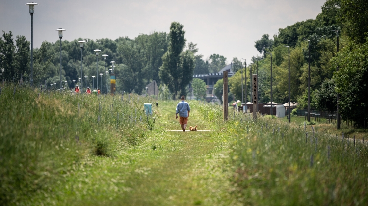 "Rain Park" in Budapest: Winner of Hungary’s National Green Cities Europe Award to  Represent at International Contest