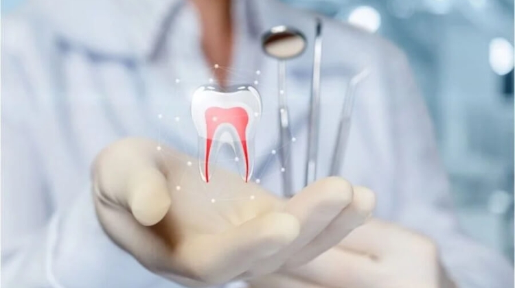 Root Canal Treatment – When & Why Is It Needed? By Evergreen Dental Clinic in Budapest