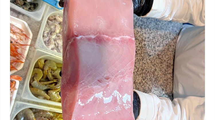 Swordfish Available at La Pescheria in Budapest