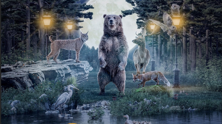 The Night of the Zoos in Hungary, 29 August The Night of the Zoos in Hungary, 29 August