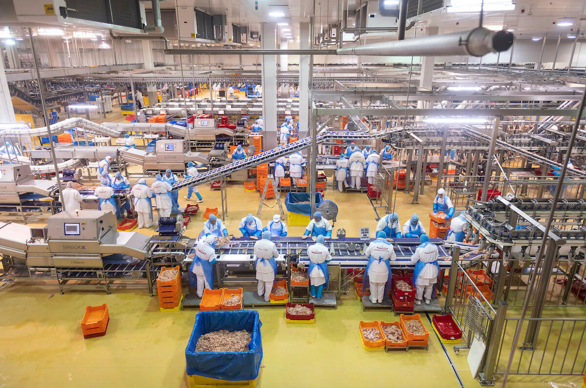 New Survey: Why Hungarians Oppose Foreign Ownership in Key Industries