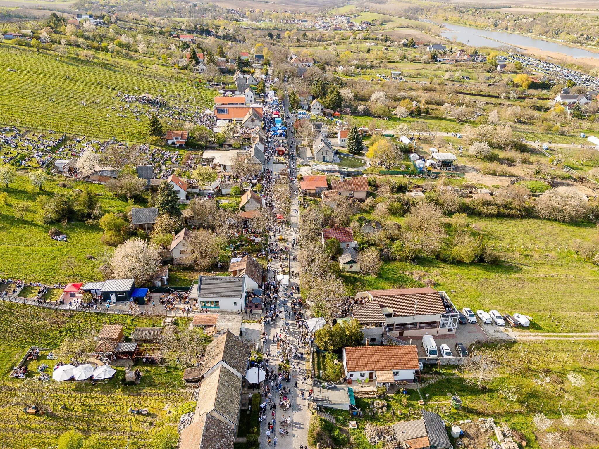 Watch: Xplore Hungary Etyek-Buda Wine Region