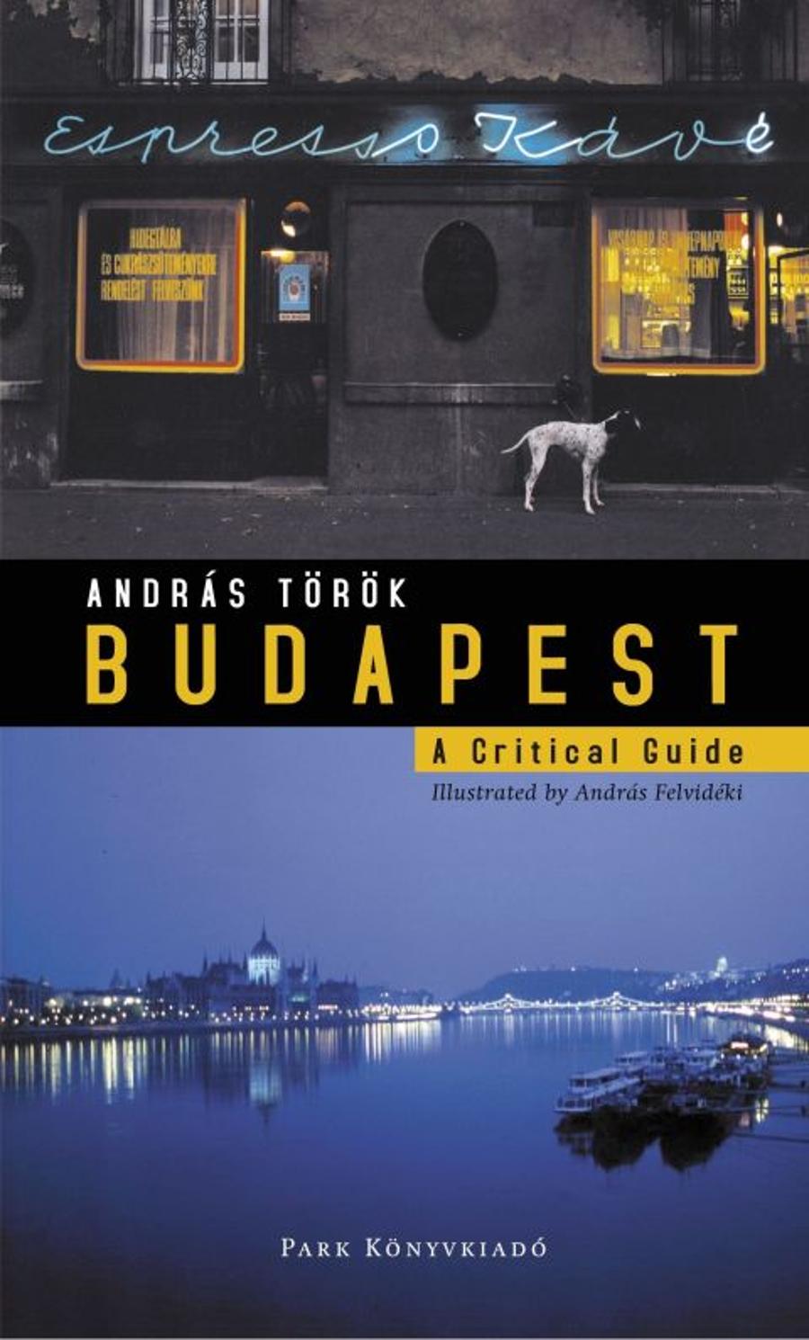 András Török: Budapest A Critical Guide