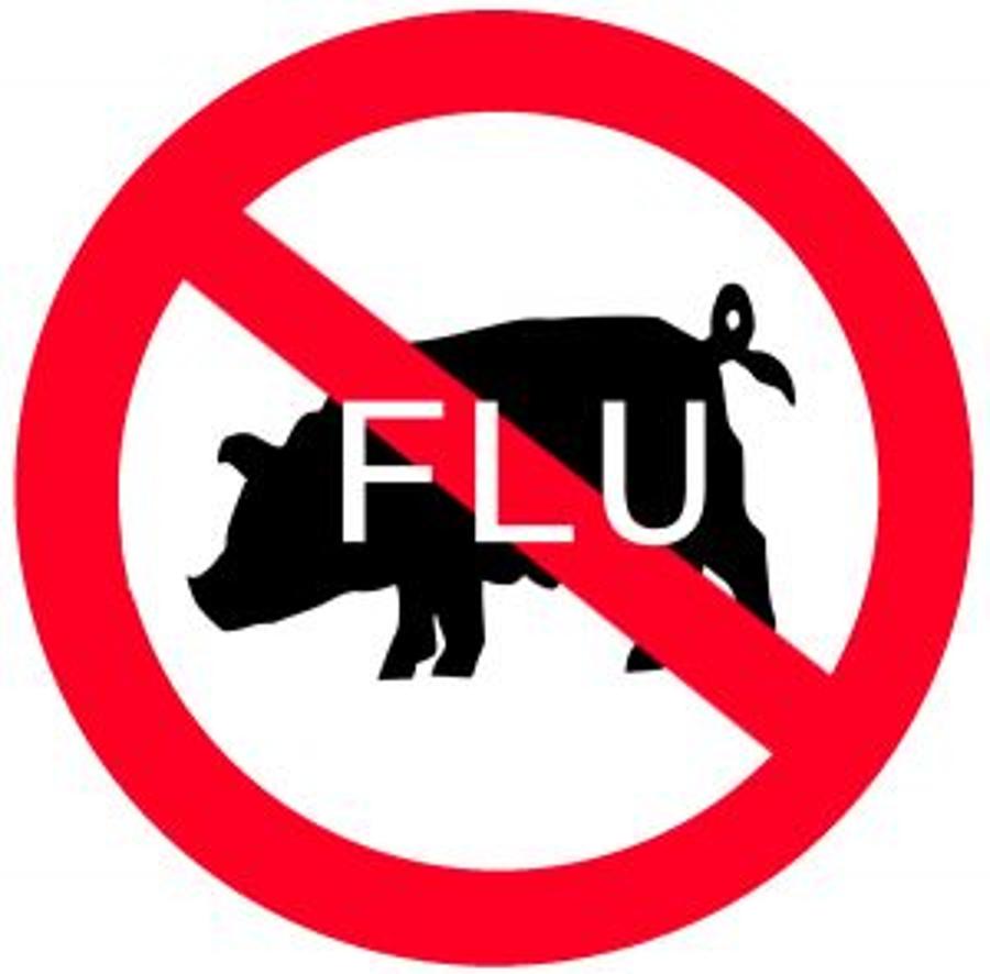 Another Flu Epidemic  In Hungary Unlikely