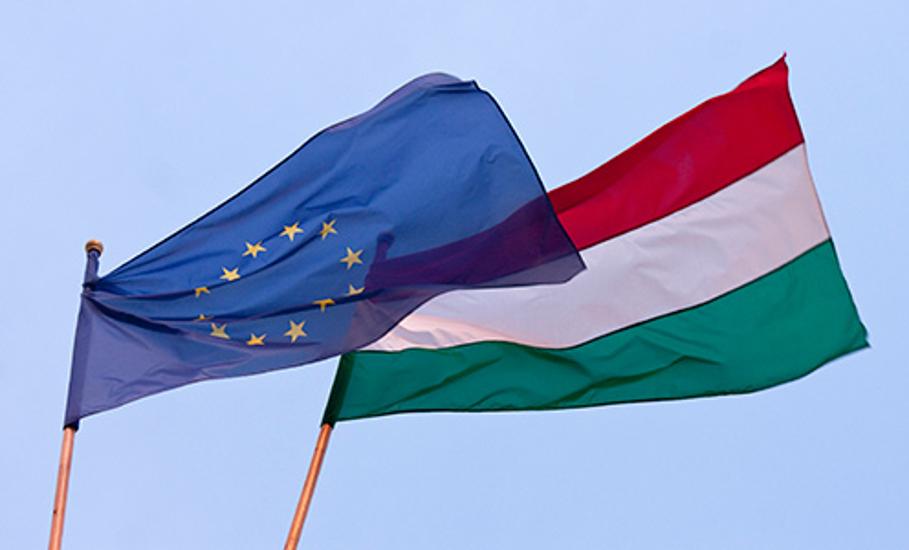Video: Hungary’s Plusses & Minuses After 10 Years As EU Member