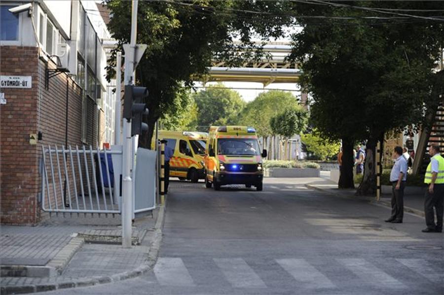 Two Injured In Blast At Budapest Richter Factory