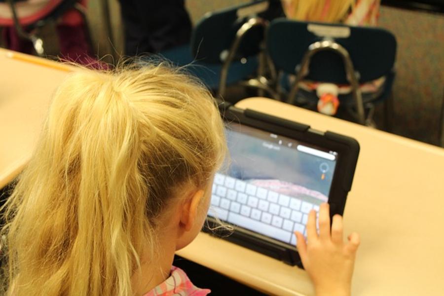 Hungary Last In Digital Literacy