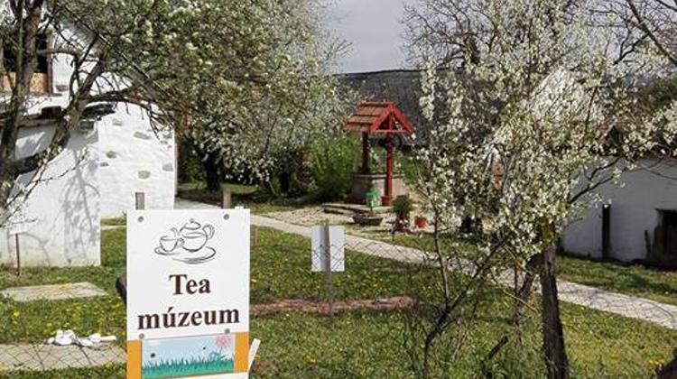 An Unusual English “Living Museum” In Hungarian Countryside
