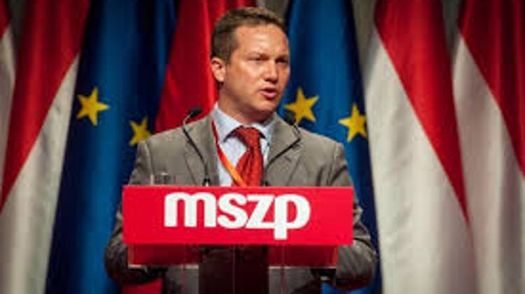Socialist MEP: Govt Anti-Quota Ad Campaign ‘Waste Of Money’