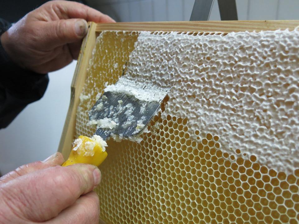 Beekeepers To Launch Campaign Promoting Honey
