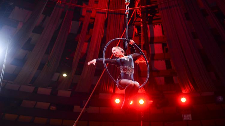 Video: 'Mattie The Goose-Boy', Budapest Circus, Now On Until 22 January