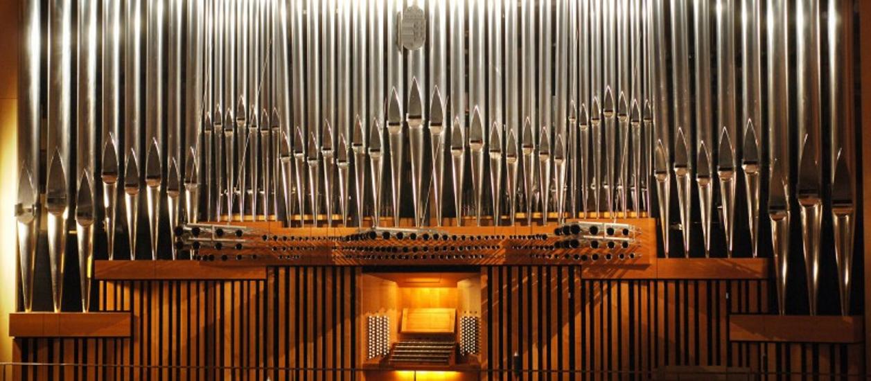 OrganExpedition, National Concert Hall, 17 January