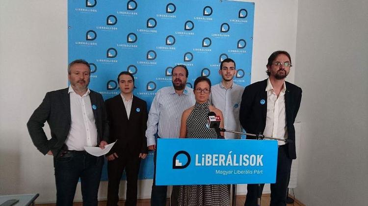 A Hungarian Micro-Party Calls For Boycott On Jobbik