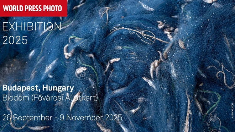 Now On: World Press Photo Exhibition at Budapest’s Biodóm Now On: World Press Photo Exhibition at Budapest’s Biodóm