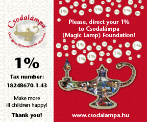 1% Tax Support Suggestion: Magic Lamp Charity