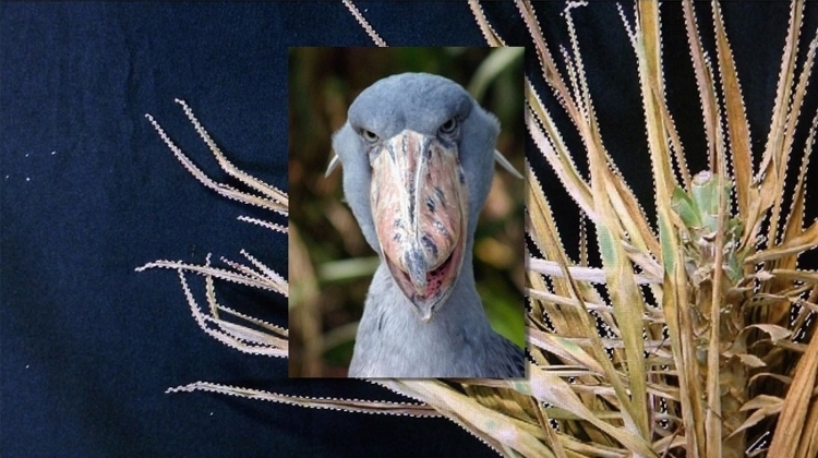 ’The Intention Of Things’, Trafo Gallery