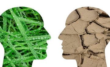 Hungary Aims to be Climate Neutral by 2050