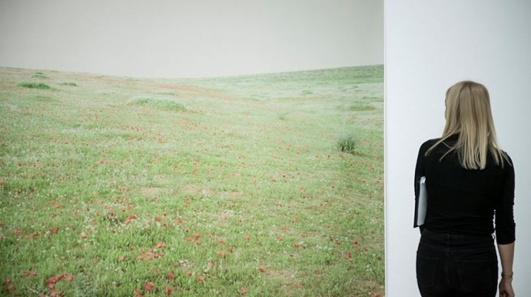 Rafael Y. Herman Exhibition @ Ludwig Museum