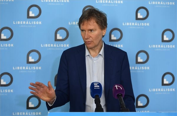 Liberals: EU Should Sanction Governments, Not Countries