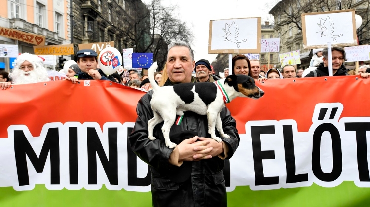 Video: On The Road With Hungary's Two-Tailed Dog Party
