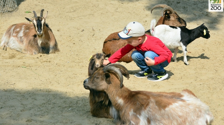 Budapest Zoo Opens New 'Wonderland Park'