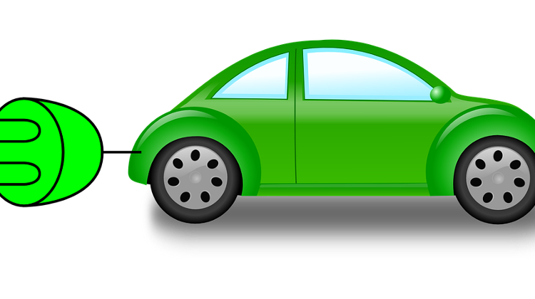 LMP Wants Green Licence Plates Reserved For Fully Electric Cars