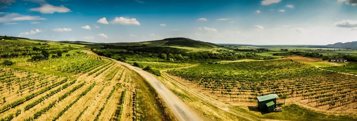 Tokaj Wine Region Historic Cultural Landscape