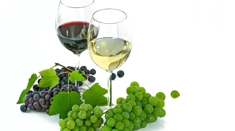 Wine Marketing Strategy to Be Developed in Hungary