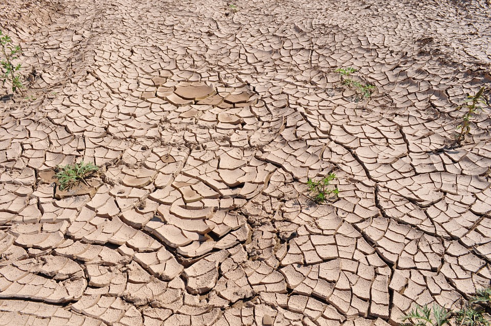 Droughts ‘Becoming More Frequent’ in Hungary