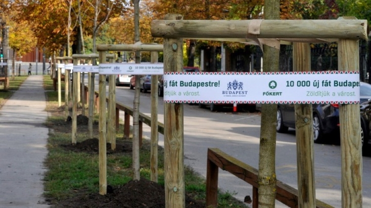 Mayor Tarlós: 10,000 Trees Planted In Budapest