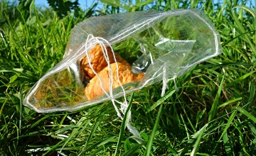 President Áder Discusses Food Waste in Podcast