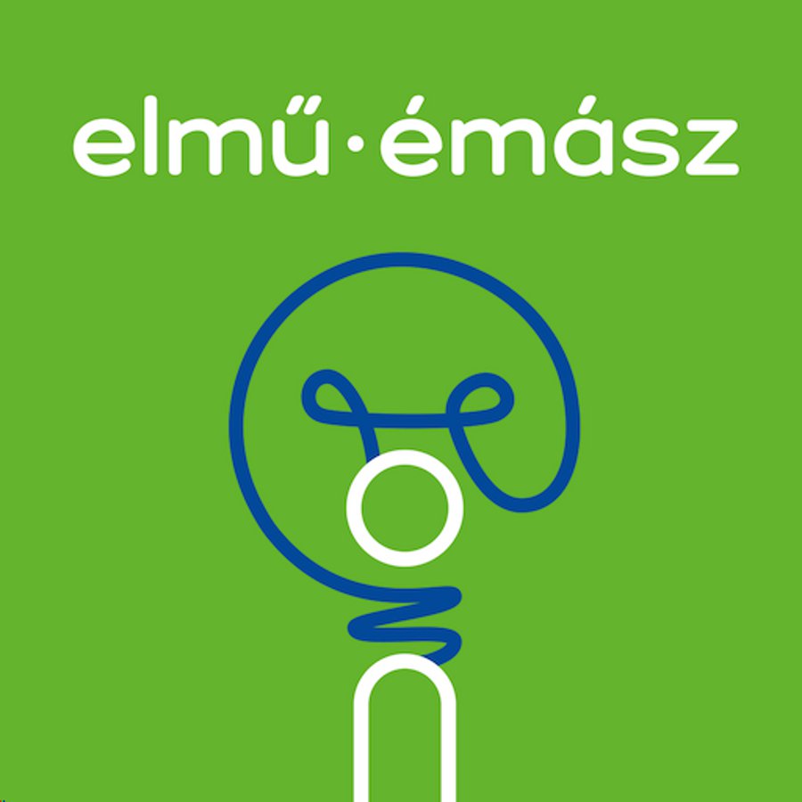 Hungarian Electricity Distributor App Replaces Meter Readers
