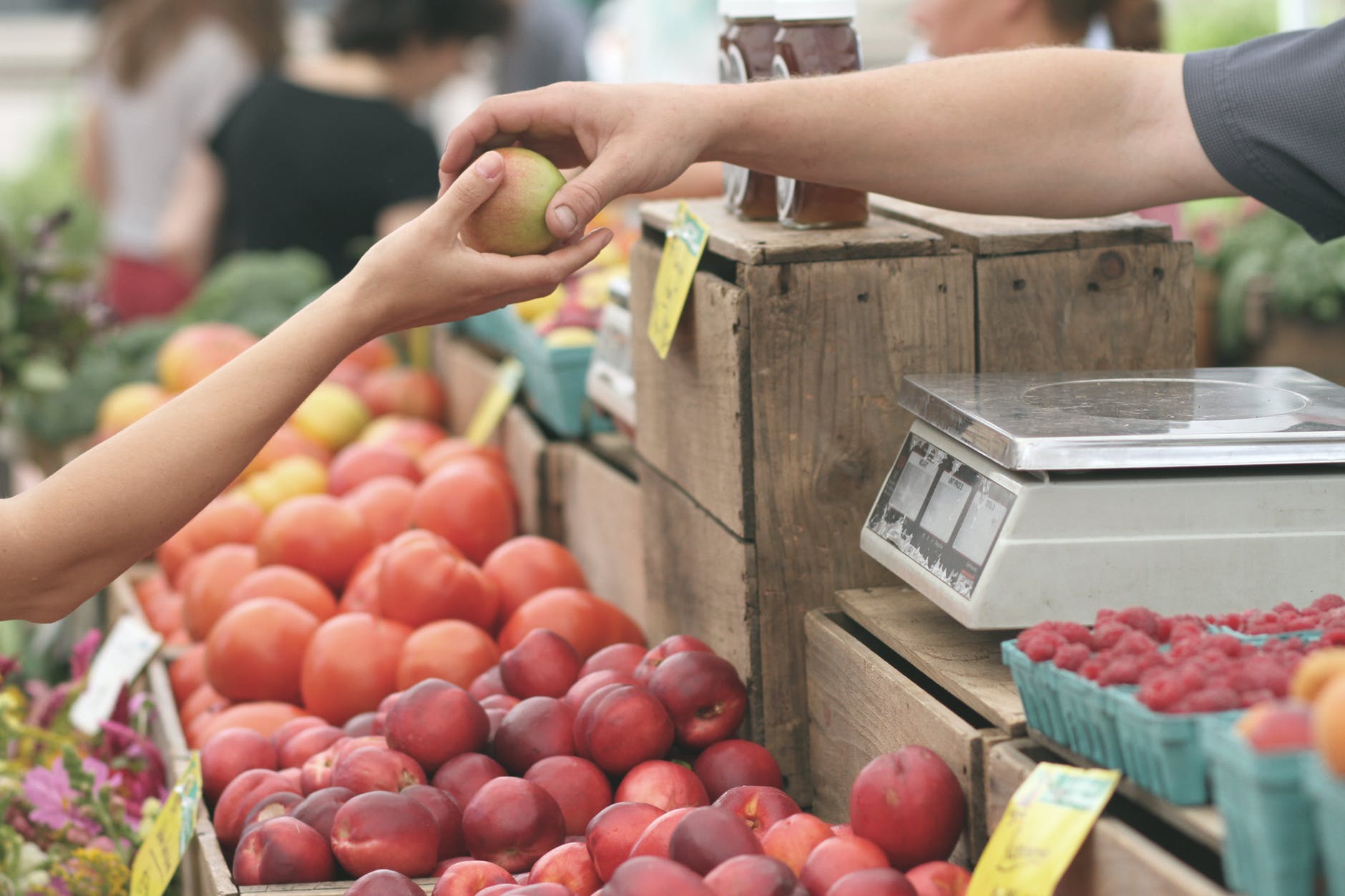 Food Retailers in Hungary Seek Gov’t Help in Lowering Prices