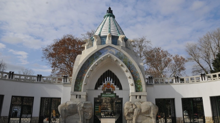Coronavirus: Budapest Zoo Is Temporarily Closed