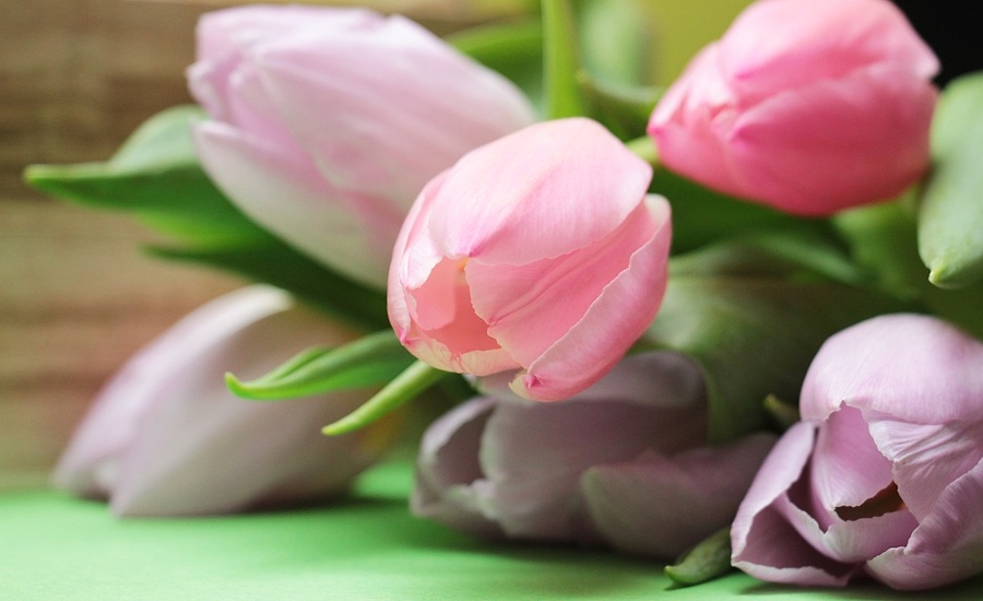 Mother's Day Celebrated in Hungary on 3 May