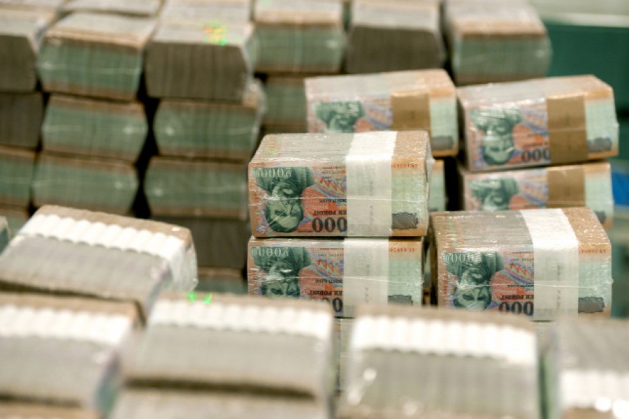 Major Money Launderer From Nigeria Extradited To Hungary
